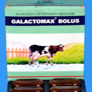 genliv plus