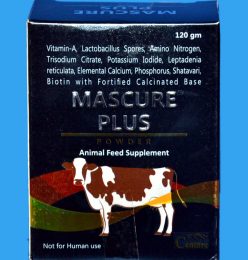 Mascure plus