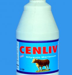 cenliv