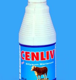 cenliv