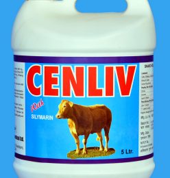 cenliv