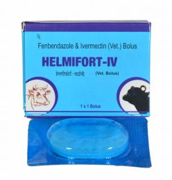 helmifort-iv