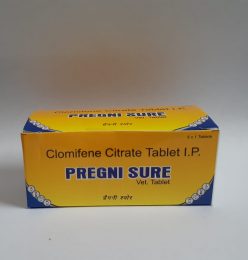 pregnisure