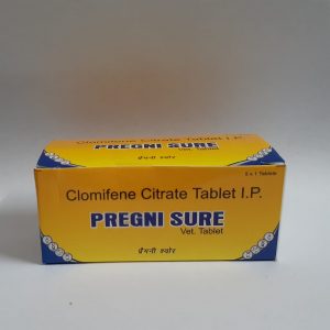 pregnisure
