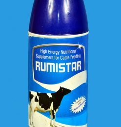 RUMISTAR