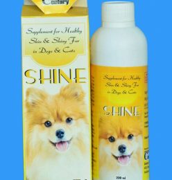 SHINE