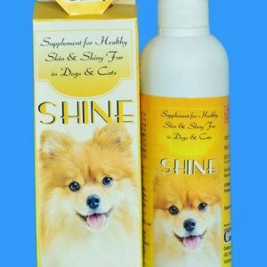 SHINE