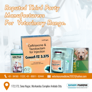 Veterinary franchise company in uttar pradesh