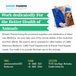 Veterinary Franchise Company in Gujarat