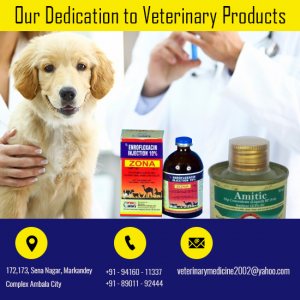 Veterinary Franchise Company in Kerala