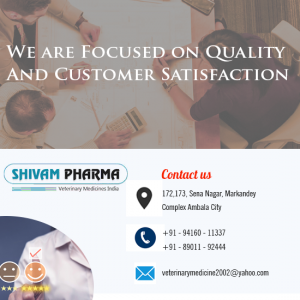 Veterinary Injections Manufacturer in Uttarakhand