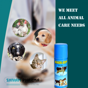 Veterinary Injections Manufacturer in Gujarat